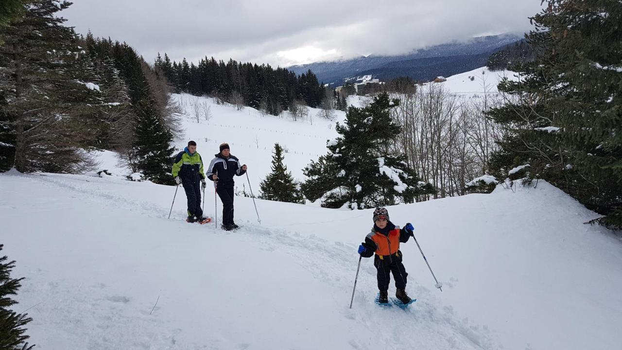 Un Air De Bretagne A La Montagne-Studio Avec Balcon فيلارد دي لانس المظهر الخارجي الصورة